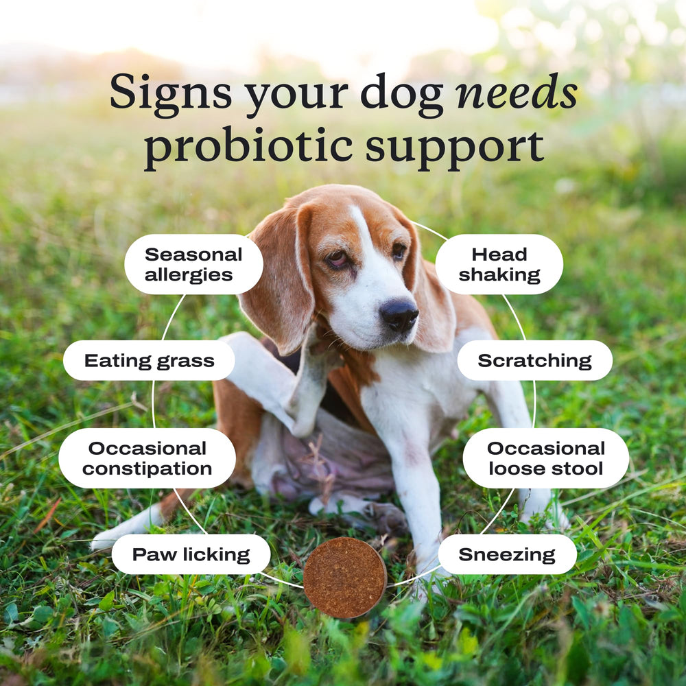PetLab Co Probiotics para alergias estacionales y piel sensible