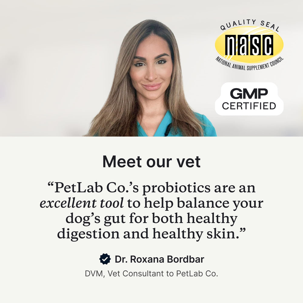 PetLab Co Probiotics con inulina y calabaza para digestión y regularidad