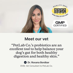 PetLab Co Probiotics con inulina y calabaza para digestión y regularidad