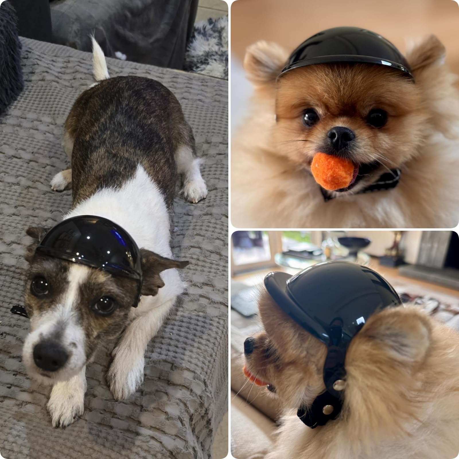 PETLESO casco con orificios para orejas y buena ventilación.