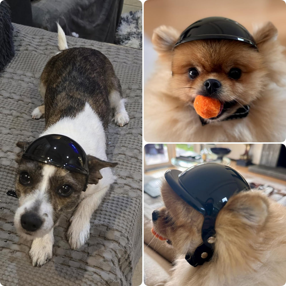 PETLESO casco con orificios para orejas y buena ventilación.