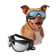 PETLESO gafas para perro gran raza, vista frontal, proteccion ocular en paseos.