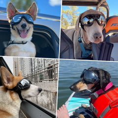 PETLESO gafas con puente nasal ajustable, mejor ajuste para perros medianos y grandes.