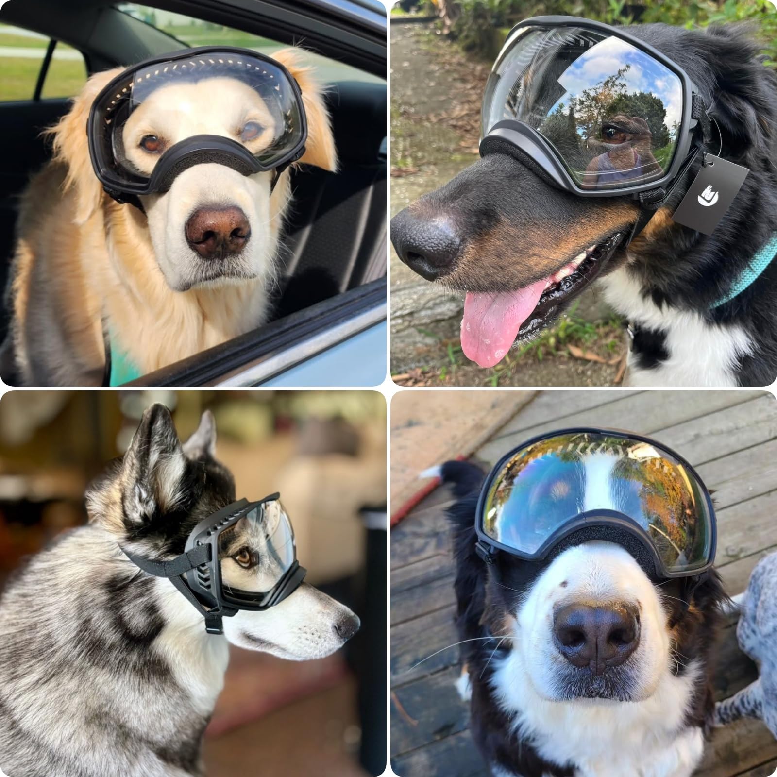 PETLESO gafas perro grande lentes claros brindan visión amplia.