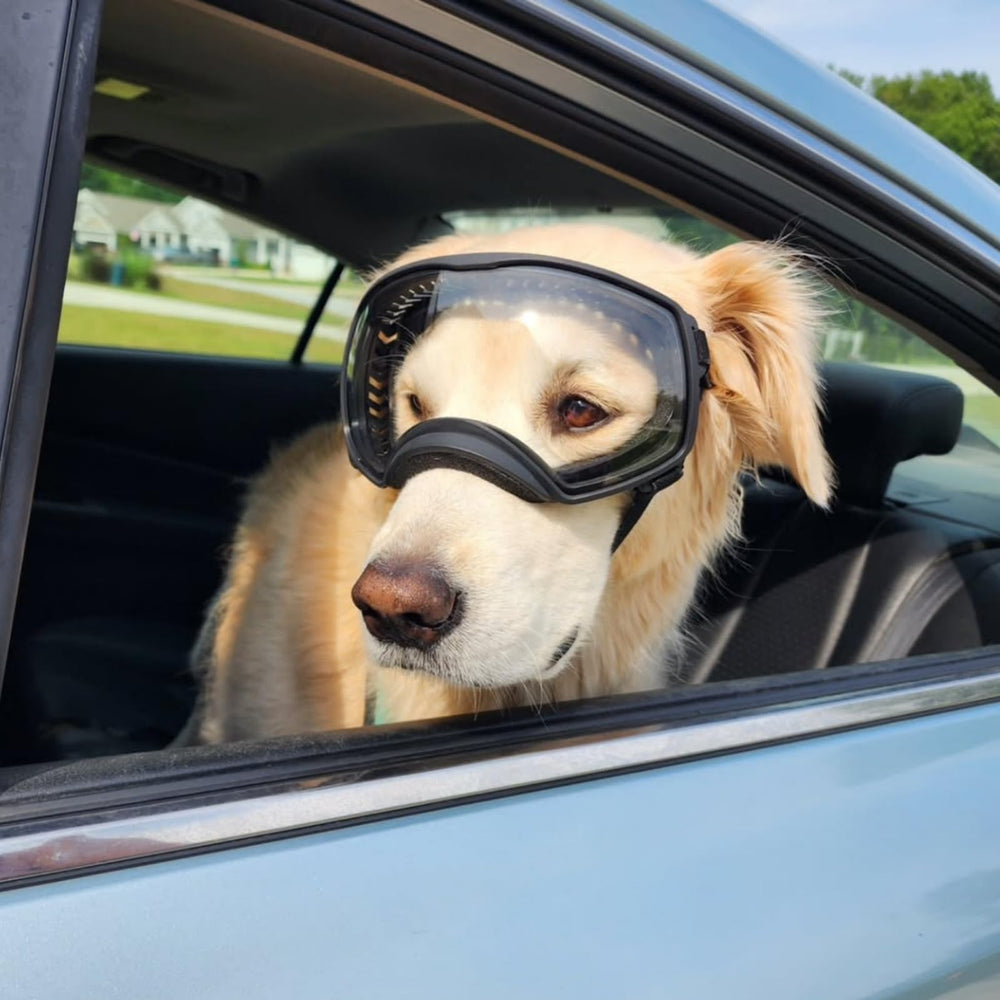 PETLESO gafas perro grande ideales para nieve y excursiones.