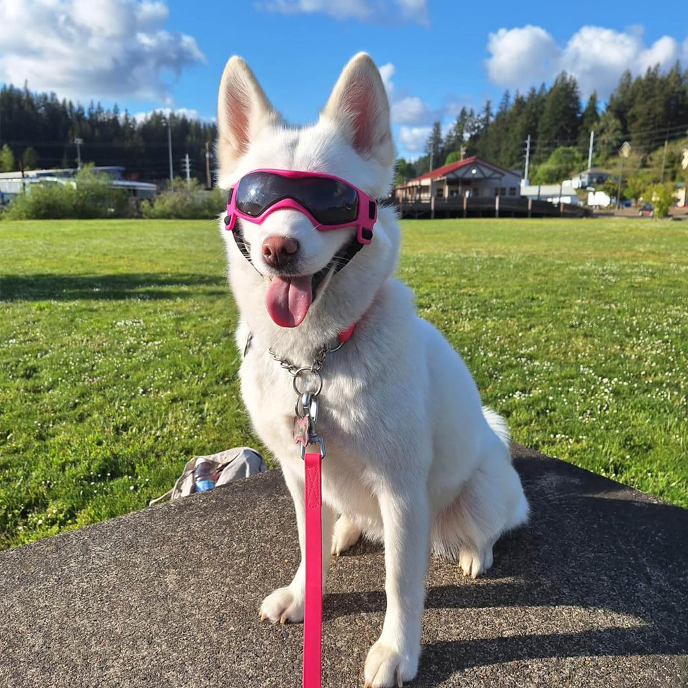 Gafas PETLESO para perro, uso en coche o paseo al aire libre con protección.
