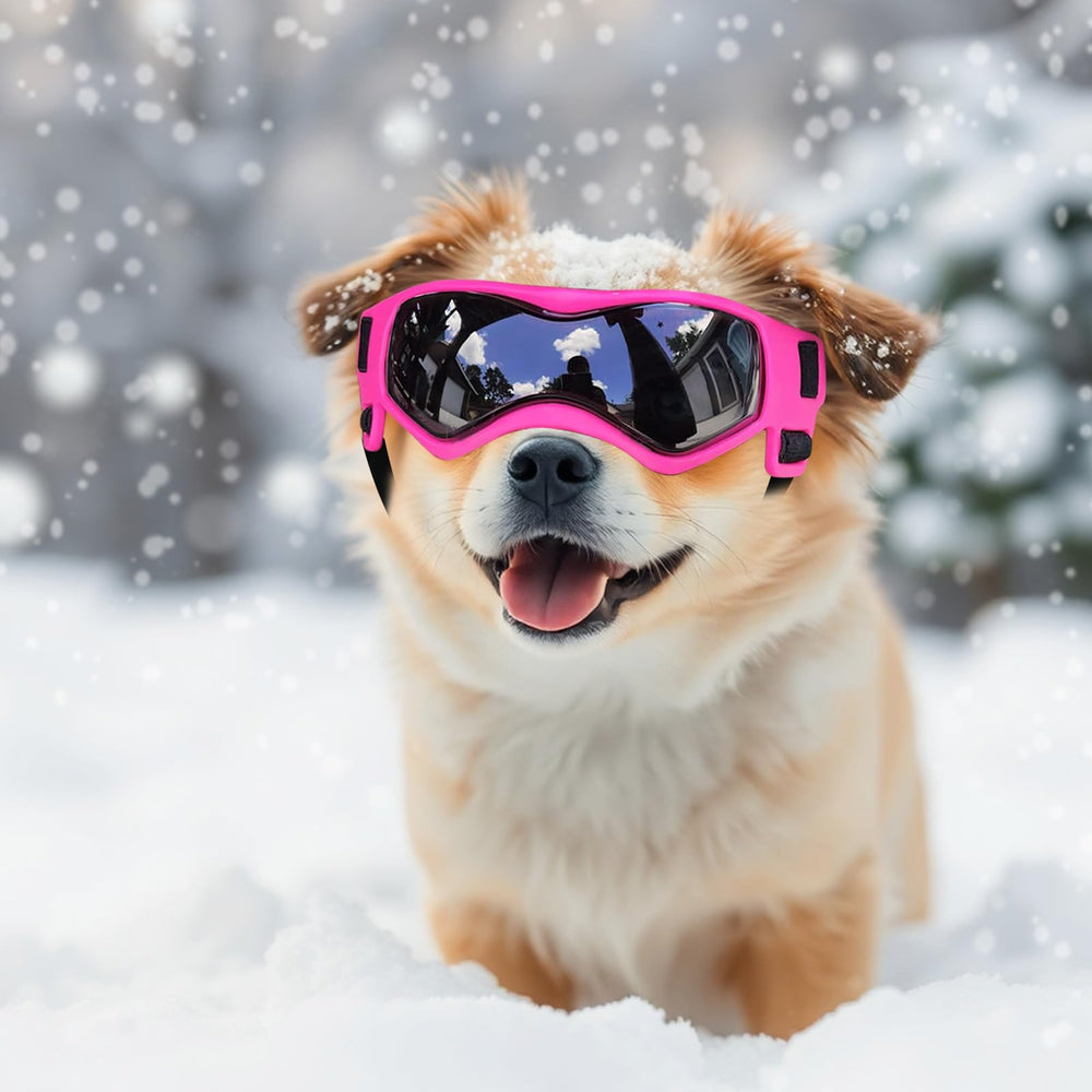 Uso recomendado para razas pequeñas yorkshire pomerania maltés