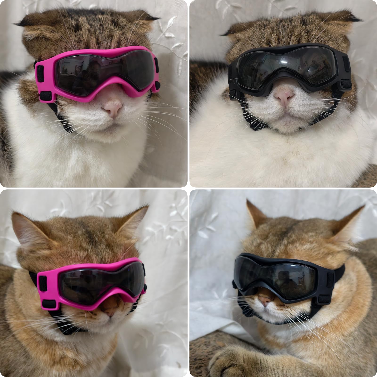 PETLESO gafas para perro XS con ventilación para evitar empañamiento.