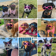 Gafas PETLESO para perros rosa, protección anti UV para caminatas soleadas
