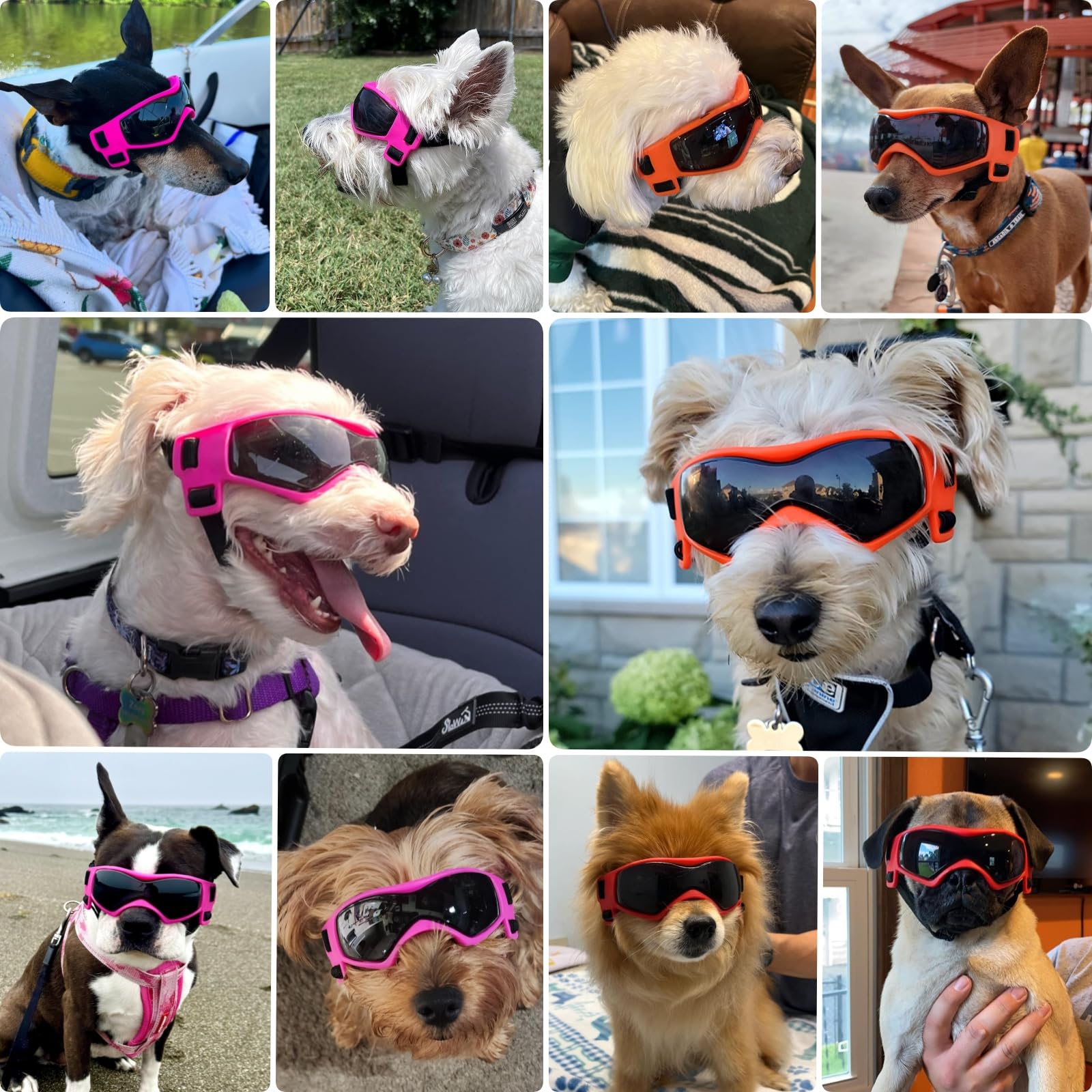PETLESO lunettes chien lentilles-courbées, ajustement précis pour le museau et protection