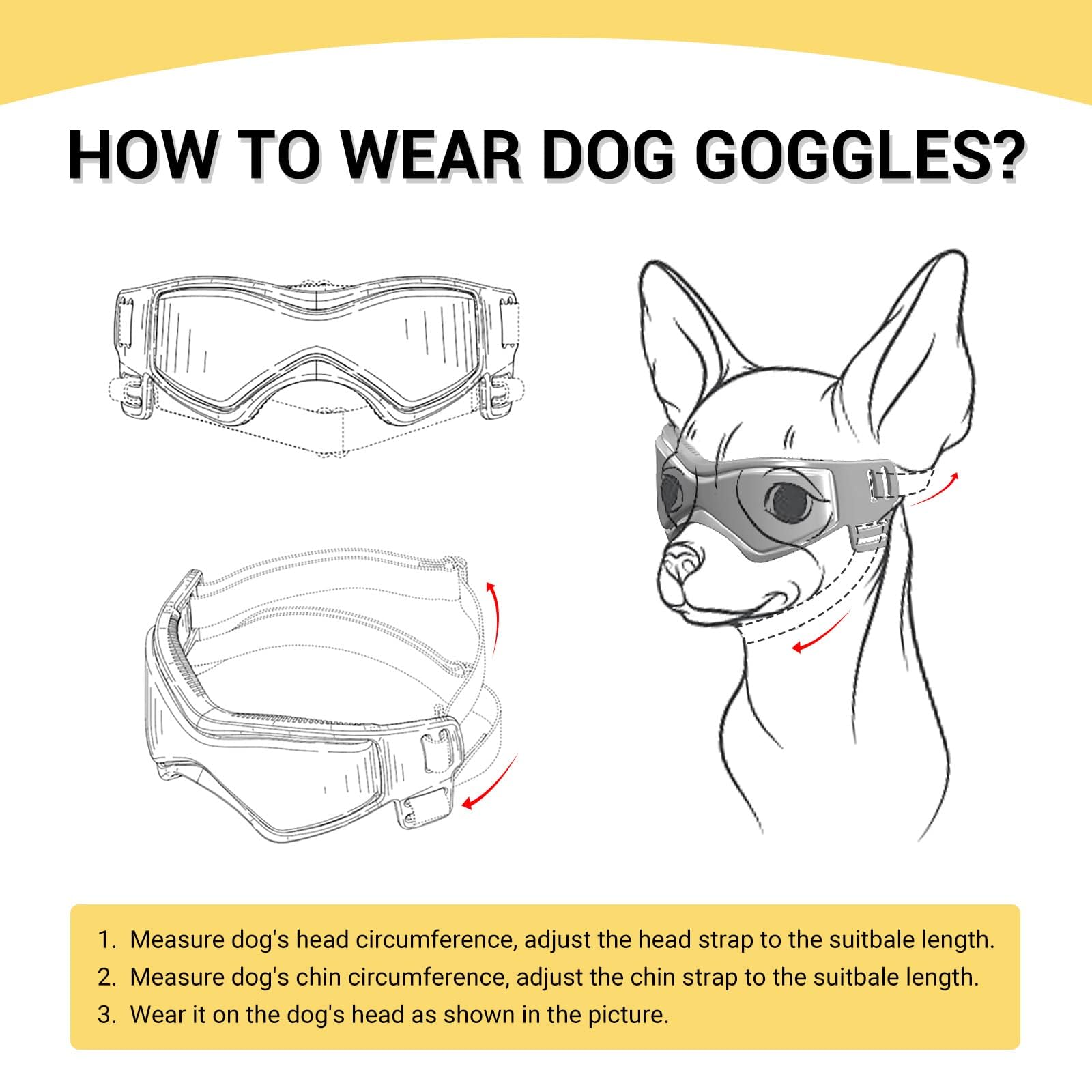 Lunettes PETLESO, sangle de tête ajustable, maintien sécurisé en voiture.