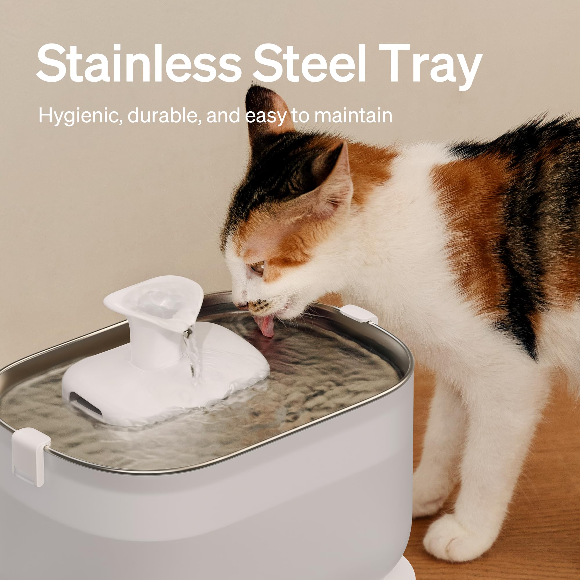 PETLIBRO bomba inalámbrica para fuente de gatos facilita la limpieza sin cables.