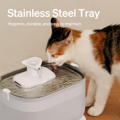 PETLIBRO bomba inalámbrica para fuente de gatos facilita la limpieza sin cables.