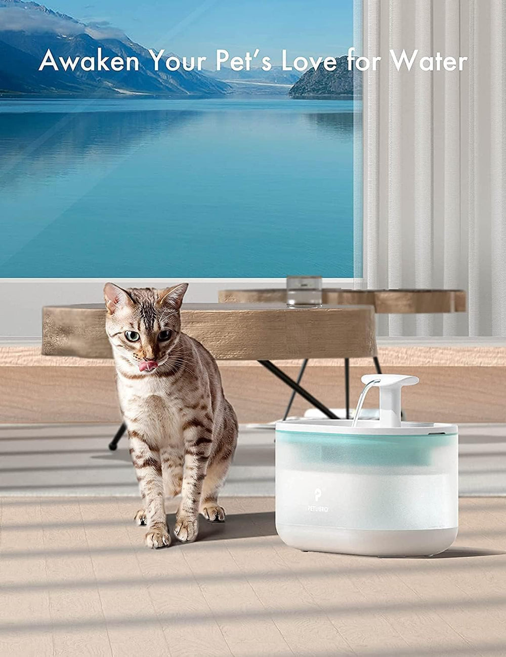 PETLIBRO uso prolongado de filtros PLWF002 para tranquilidad.