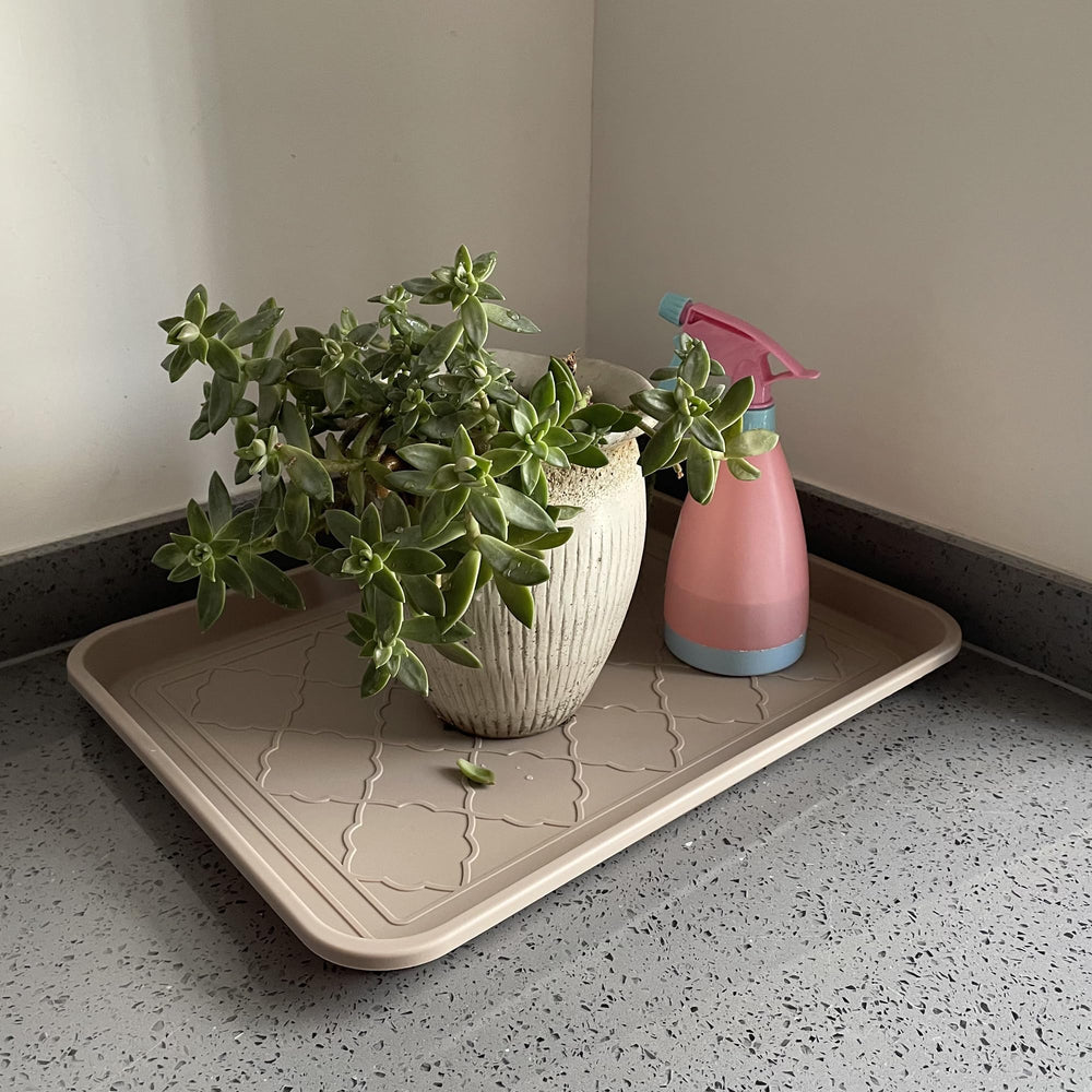 PetLike bandeja para drenaje de plantas, recoge agua de macetas para interiores.