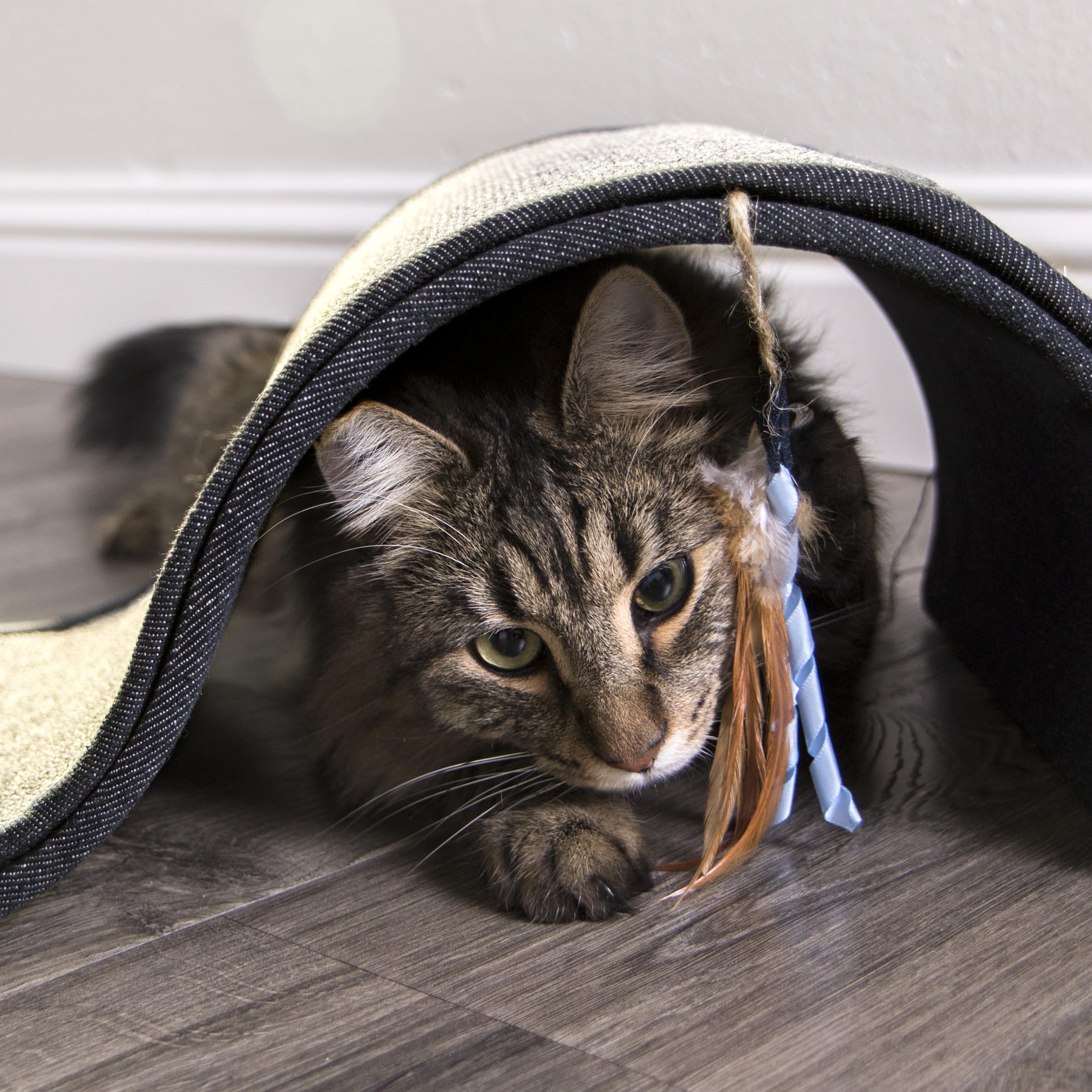 Petlinks Dream Curl ambiente ideal en casa para gatos y gatitos.