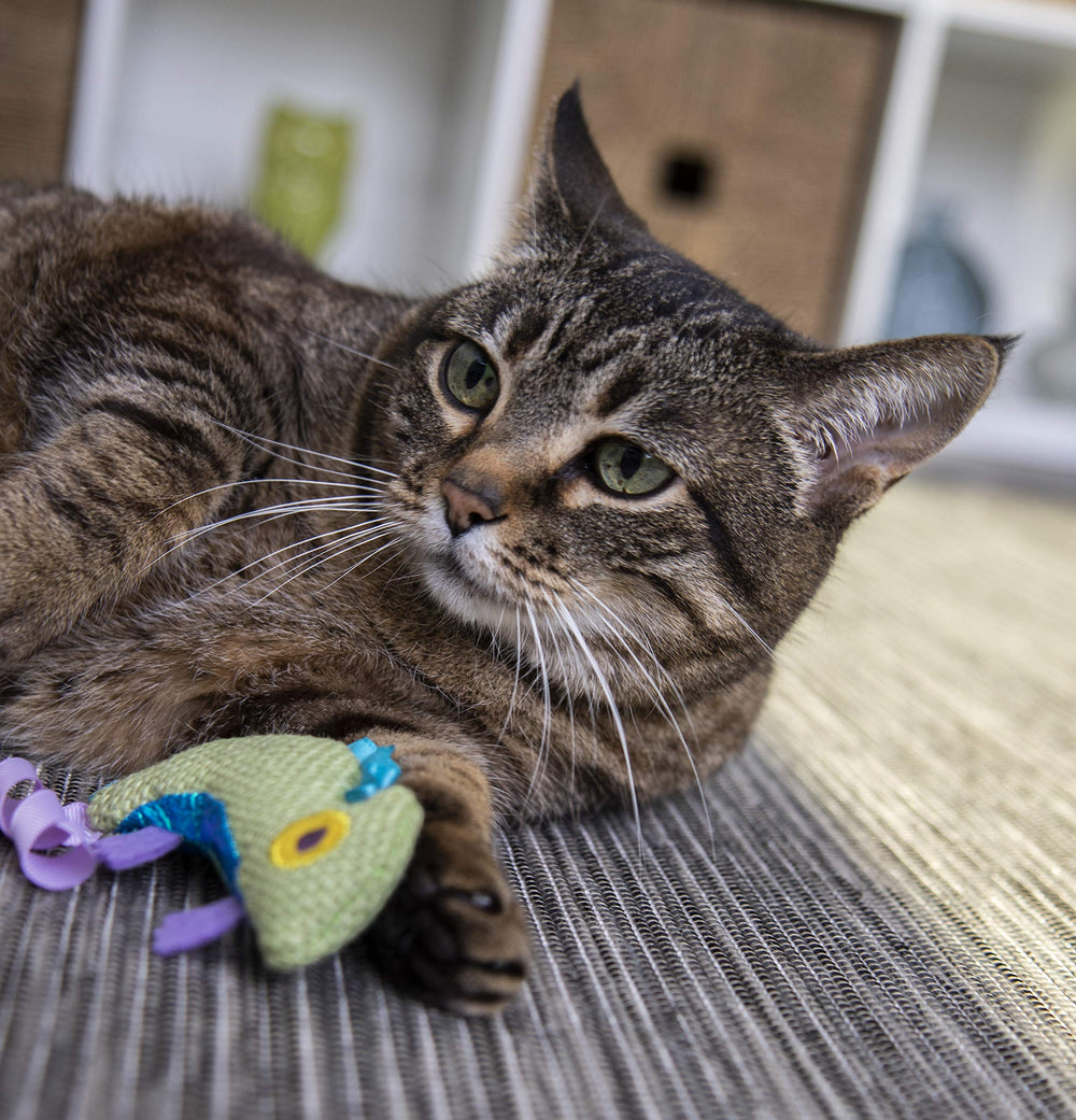 Petlinks HappyNip Camaleón: seguridad en casa sin piezas pequeñas ni cuerdas largas.