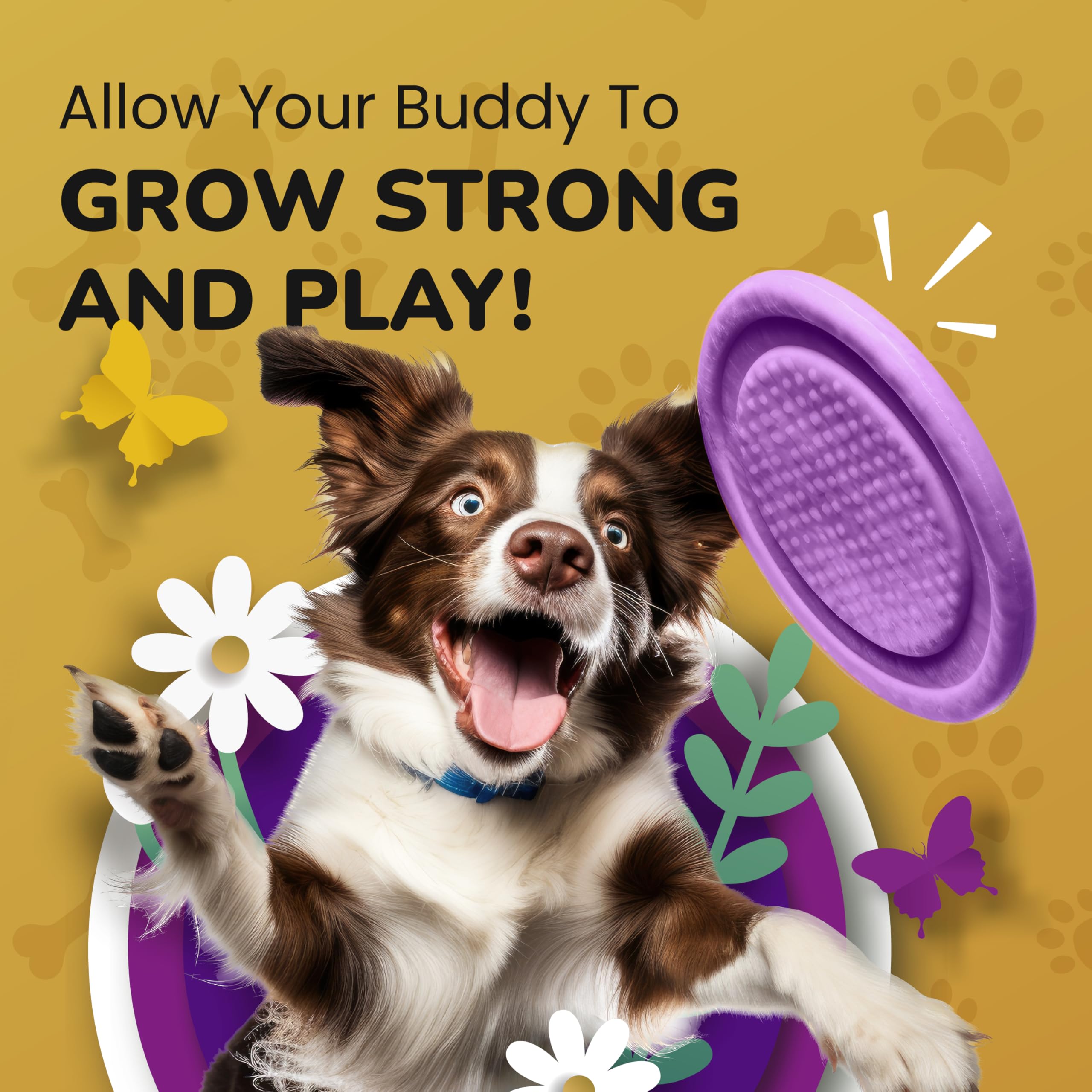 PetMade flexibilidad articular – beneficios para razas pequeñas y grandes.