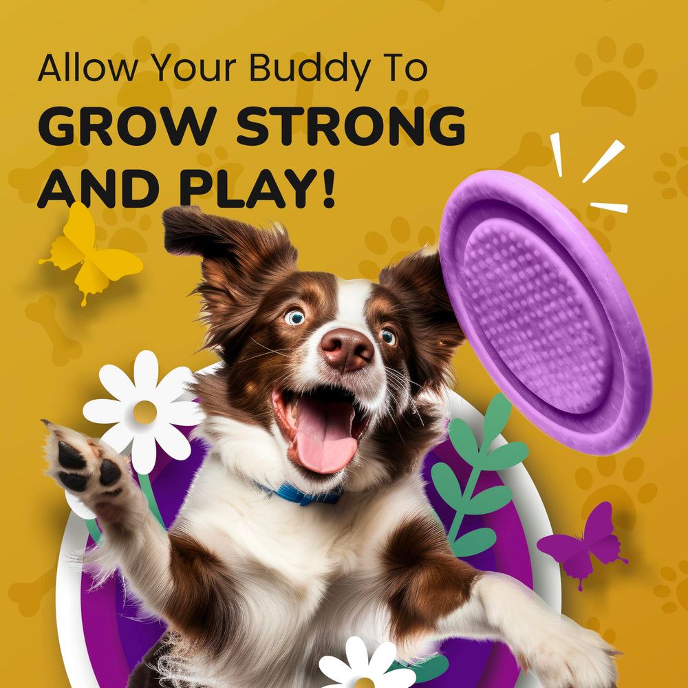 PetMade flexibilidad articular – beneficios para razas pequeñas y grandes.