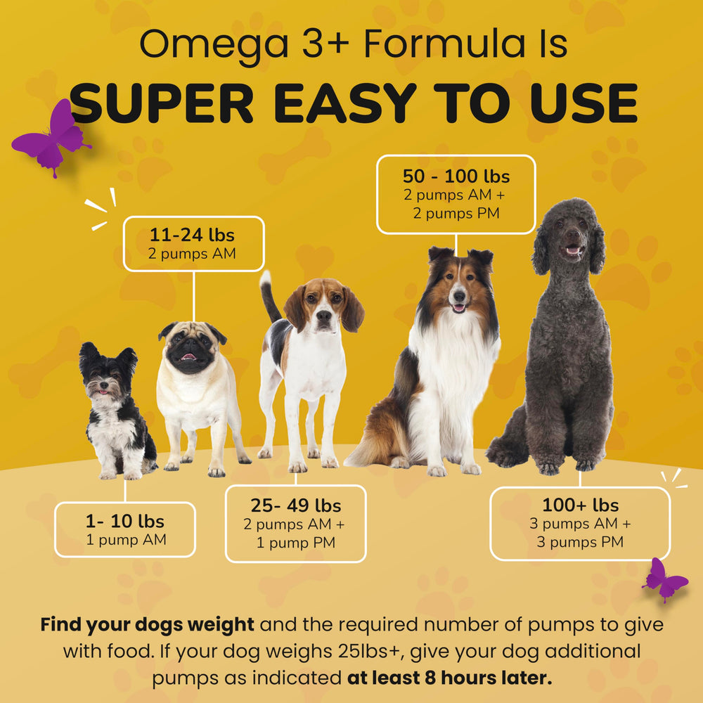 PETMADE Omega-3 se incorpora a la comida para pelaje saludable