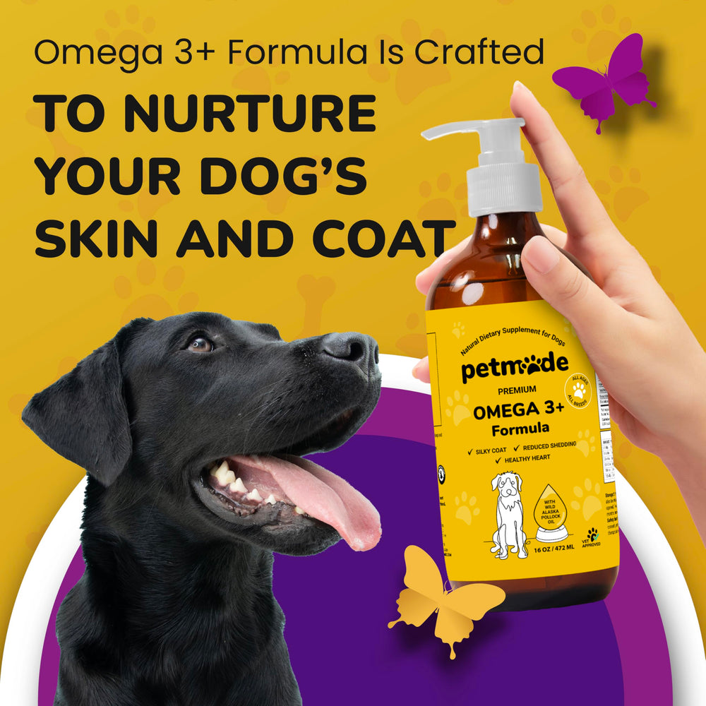 PETMADE Omega-3 pelaje brillante y piel equilibrada en perros