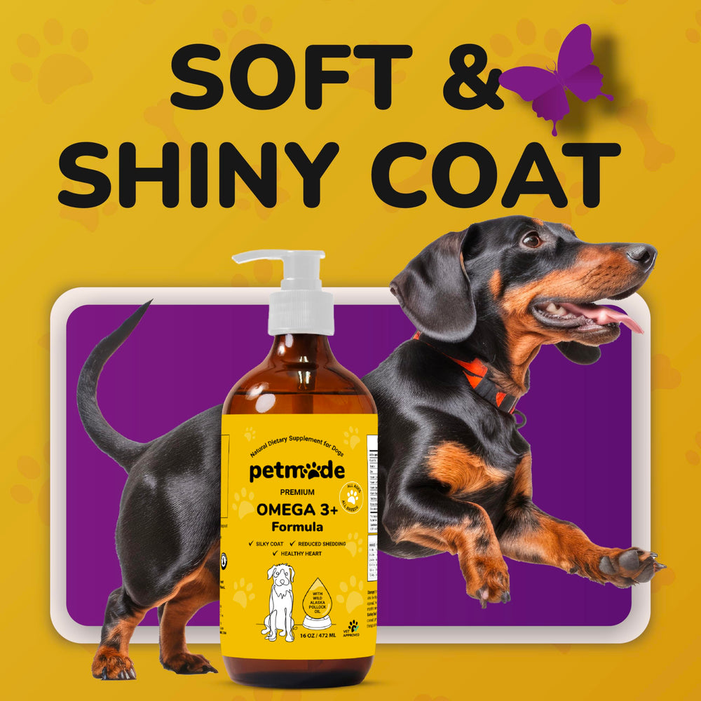 PETMADE Omega-3 piel sana y confort diario para perros