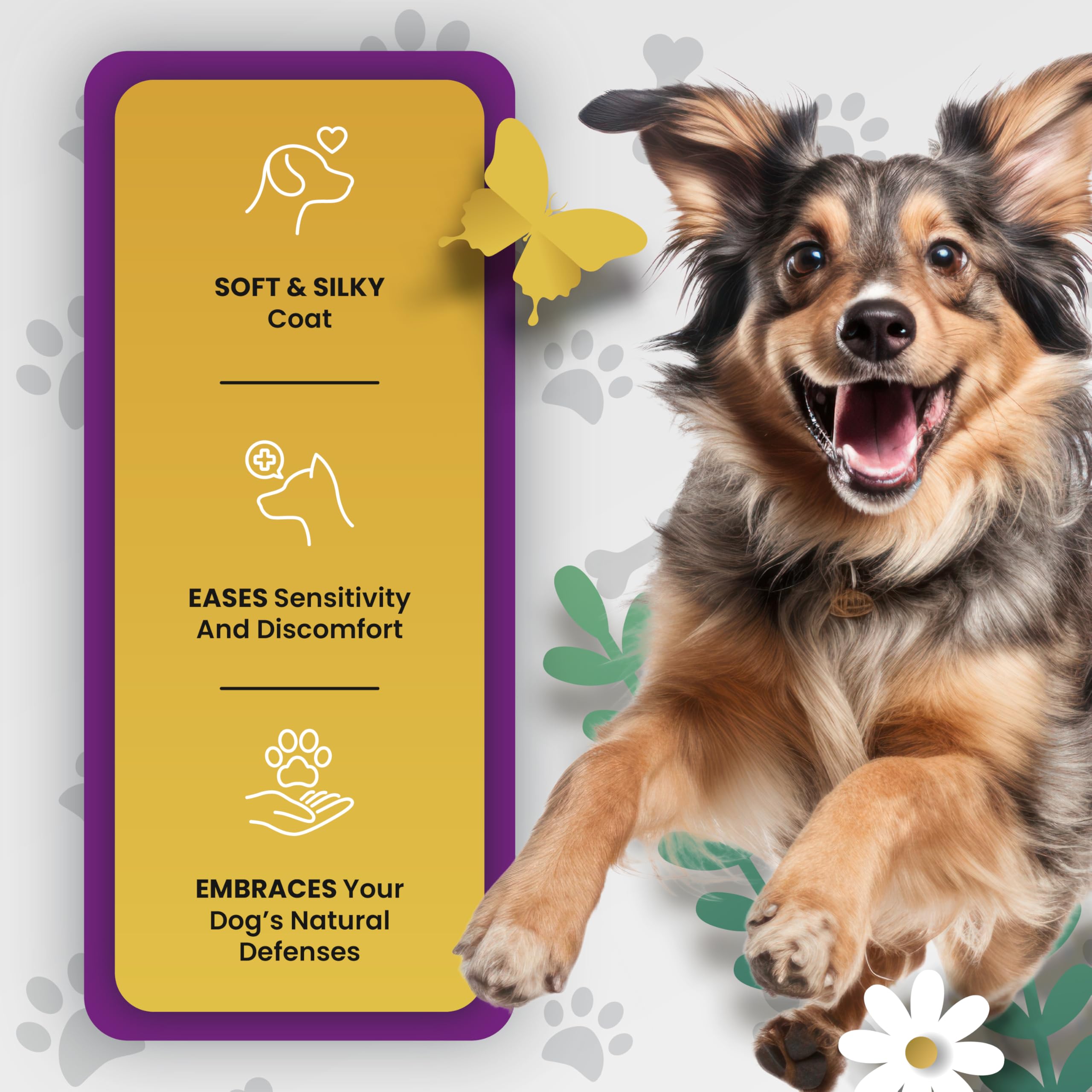 PETMADE Omega-3 para perros mejora bienestar general en actividad cotidiana
