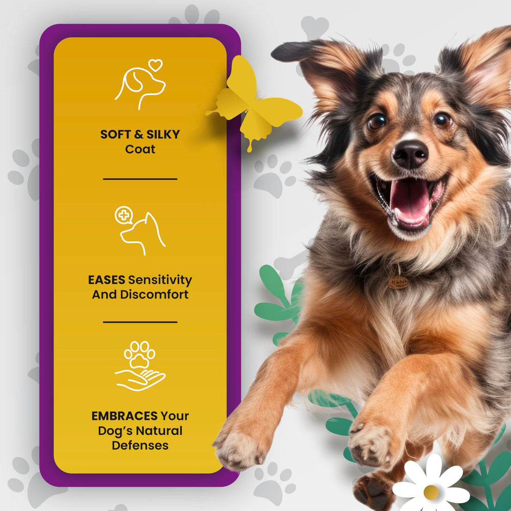 PETMADE Omega-3 para perros mejora bienestar general en actividad cotidiana