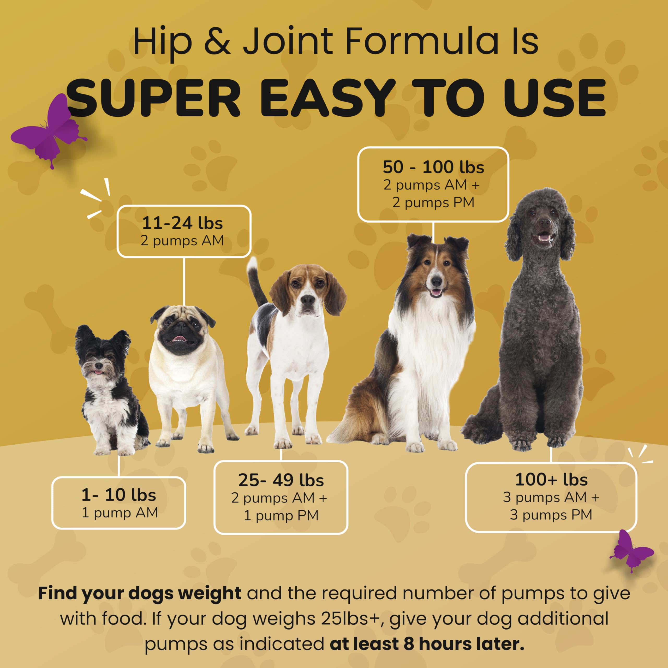 PetMade para perros activos – mejora la flexibilidad durante paseos y juegos.