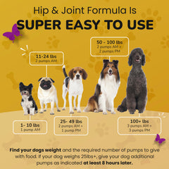 PetMade para perros activos – mejora la flexibilidad durante paseos y juegos.
