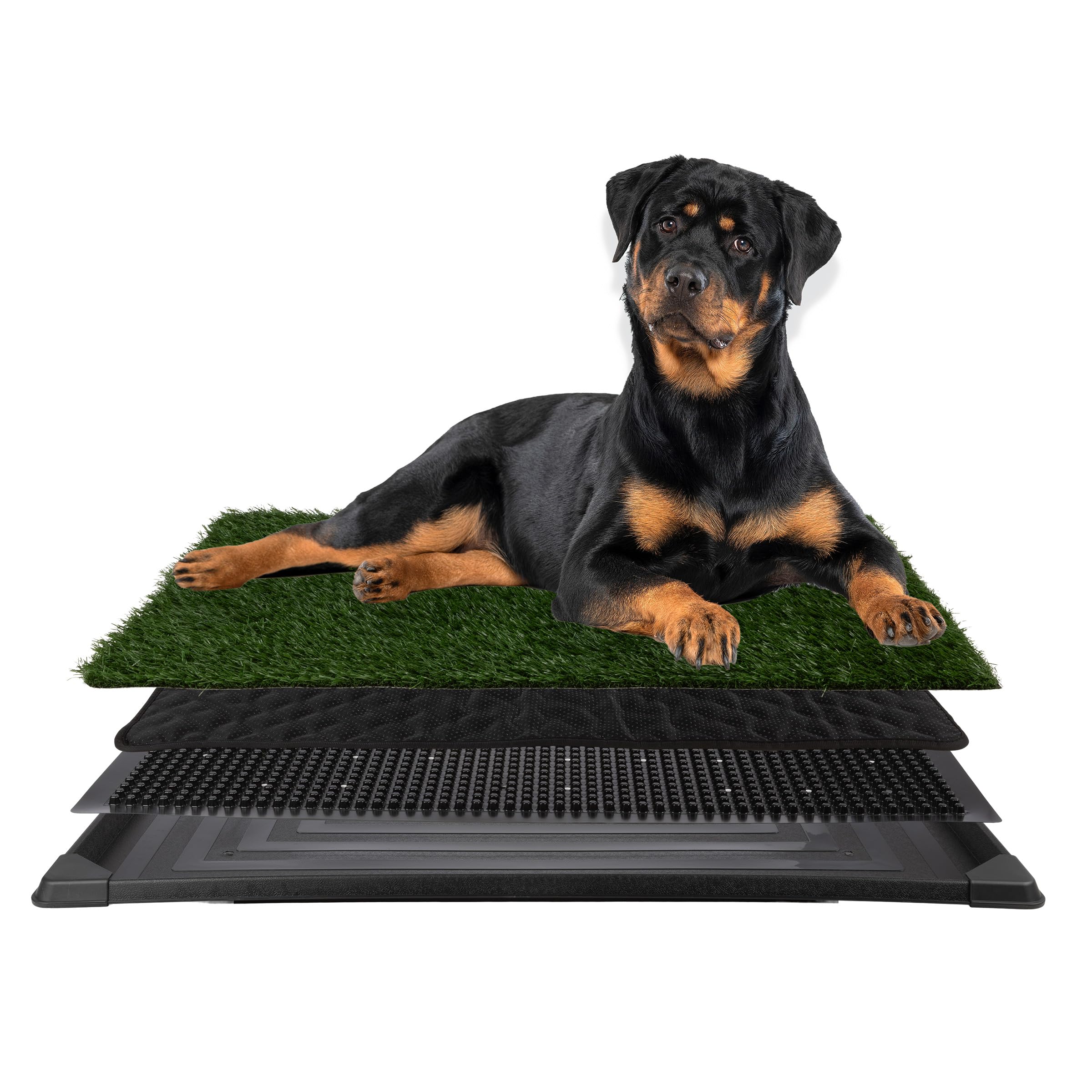 PETMAKER alfombrilla de césped artificial 41x27 para entrenamiento cómodo en casa