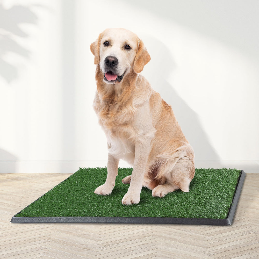 PETMAKER conjunto de tres almohadillas de césped artificial, fácil de intercambiar
