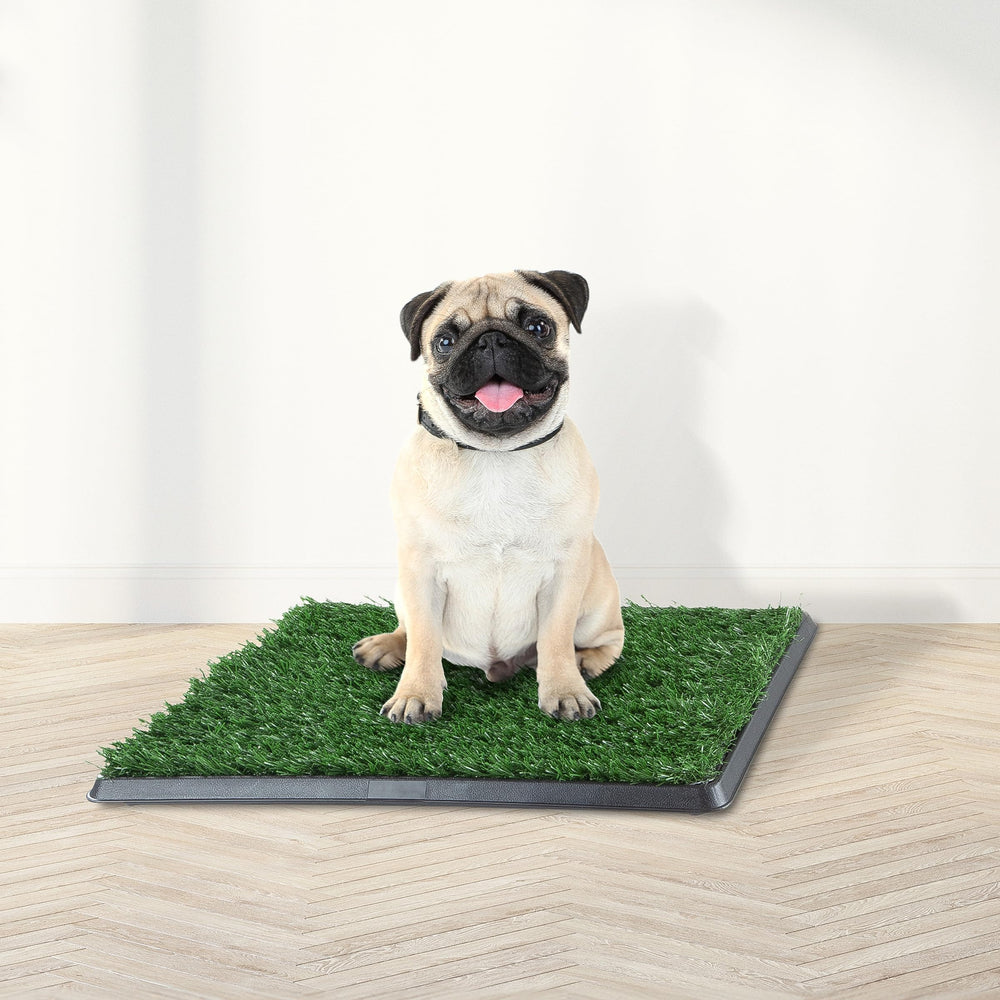 PETMAKER entrenamiento de cachorros, superficie suave que facilita el uso correcto.