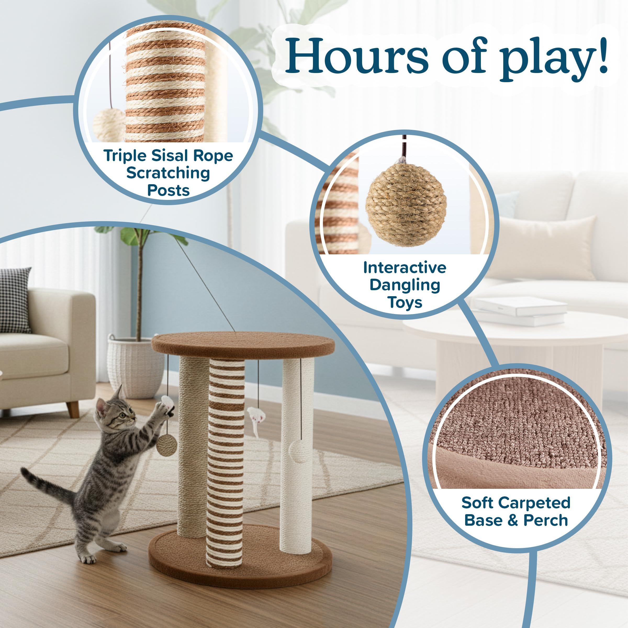 PETMAKER juguetes colgantes: estimulan instintos de caza y juego del gato.