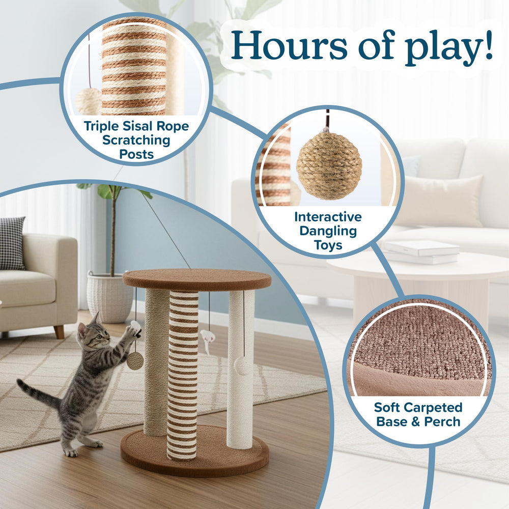 PETMAKER juguetes colgantes: estimulan instintos de caza y juego del gato.