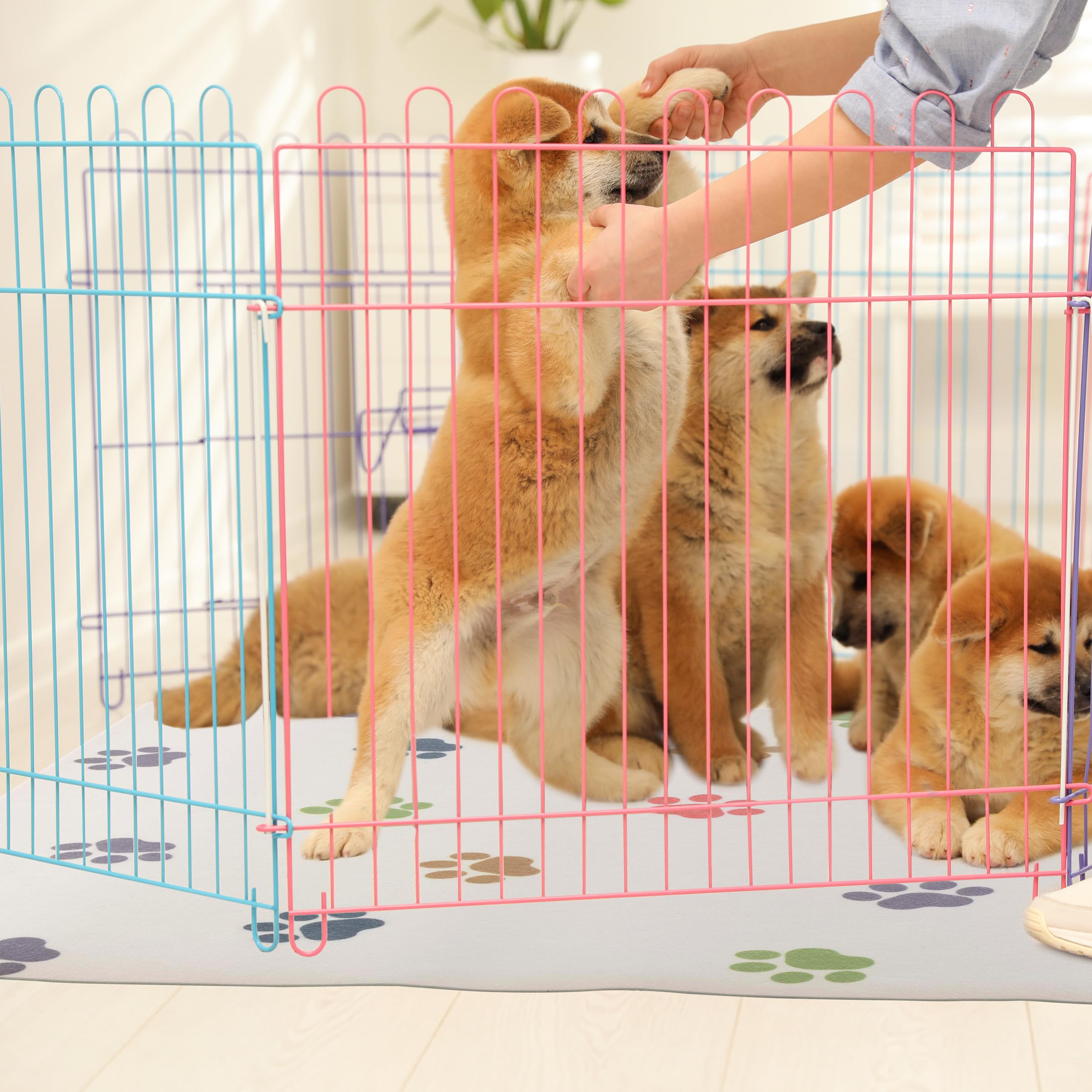 PETMAKER limpieza fácil, se limpia con un paño tras derrames.