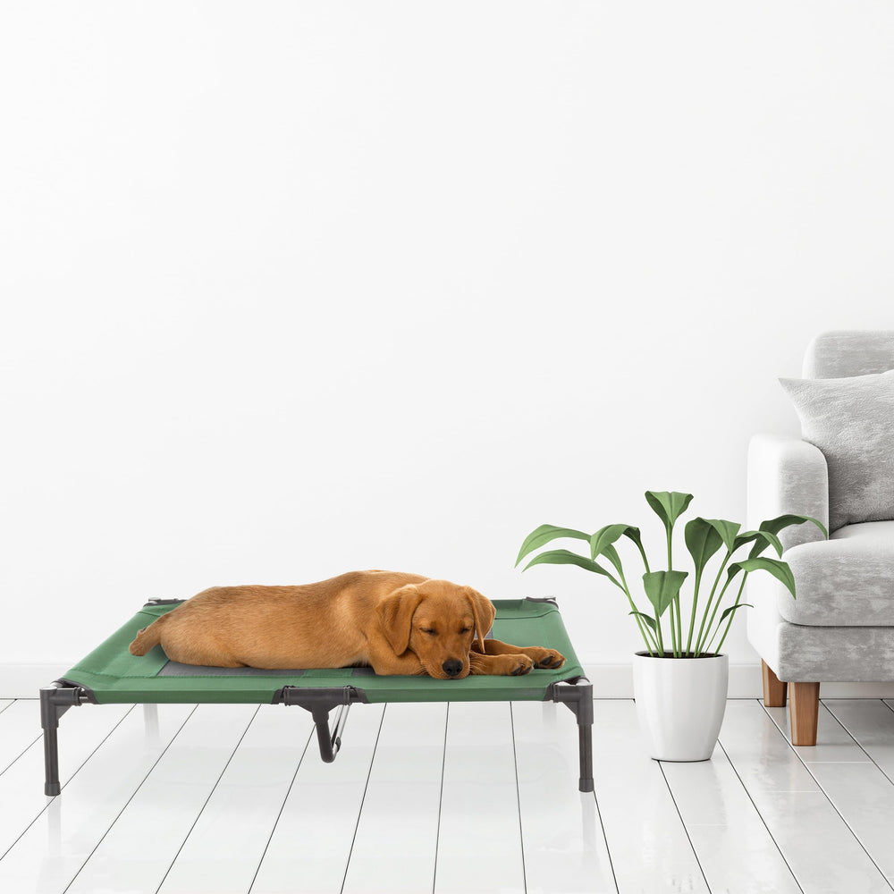 PETMAKER pies antideslizantes para seguridad en cualquier superficie