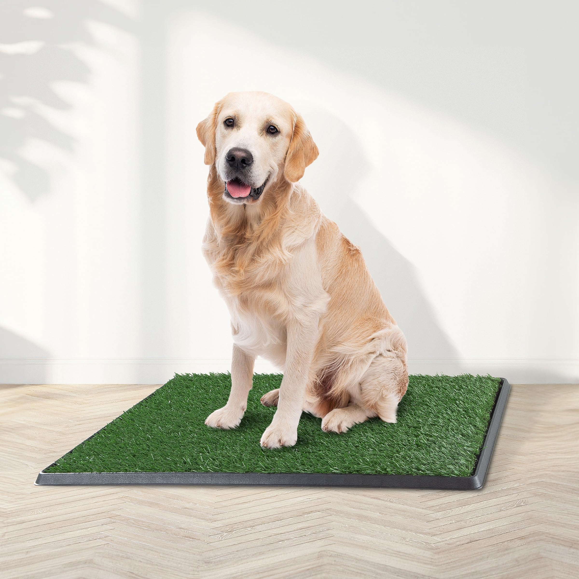 PETMAKER sistema de cuatro capas, enfoque en drenaje para uso diario.