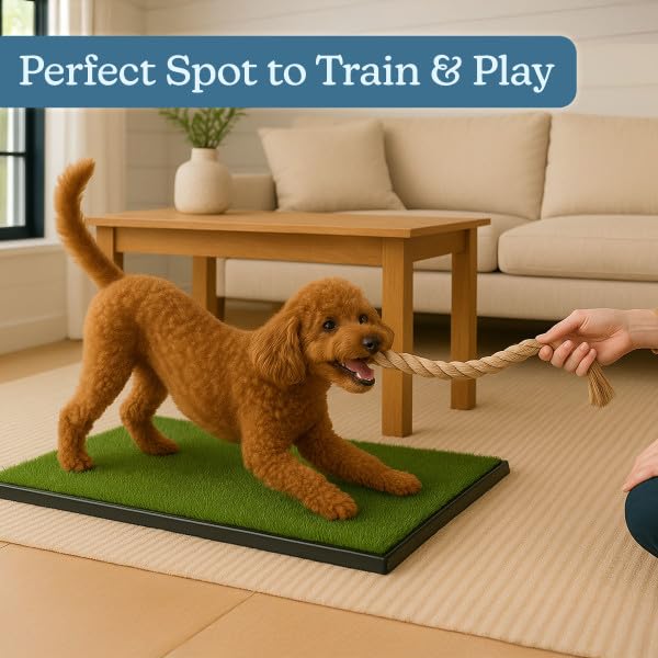 PETMAKER uso interior y exterior para perros pequeños y medianos