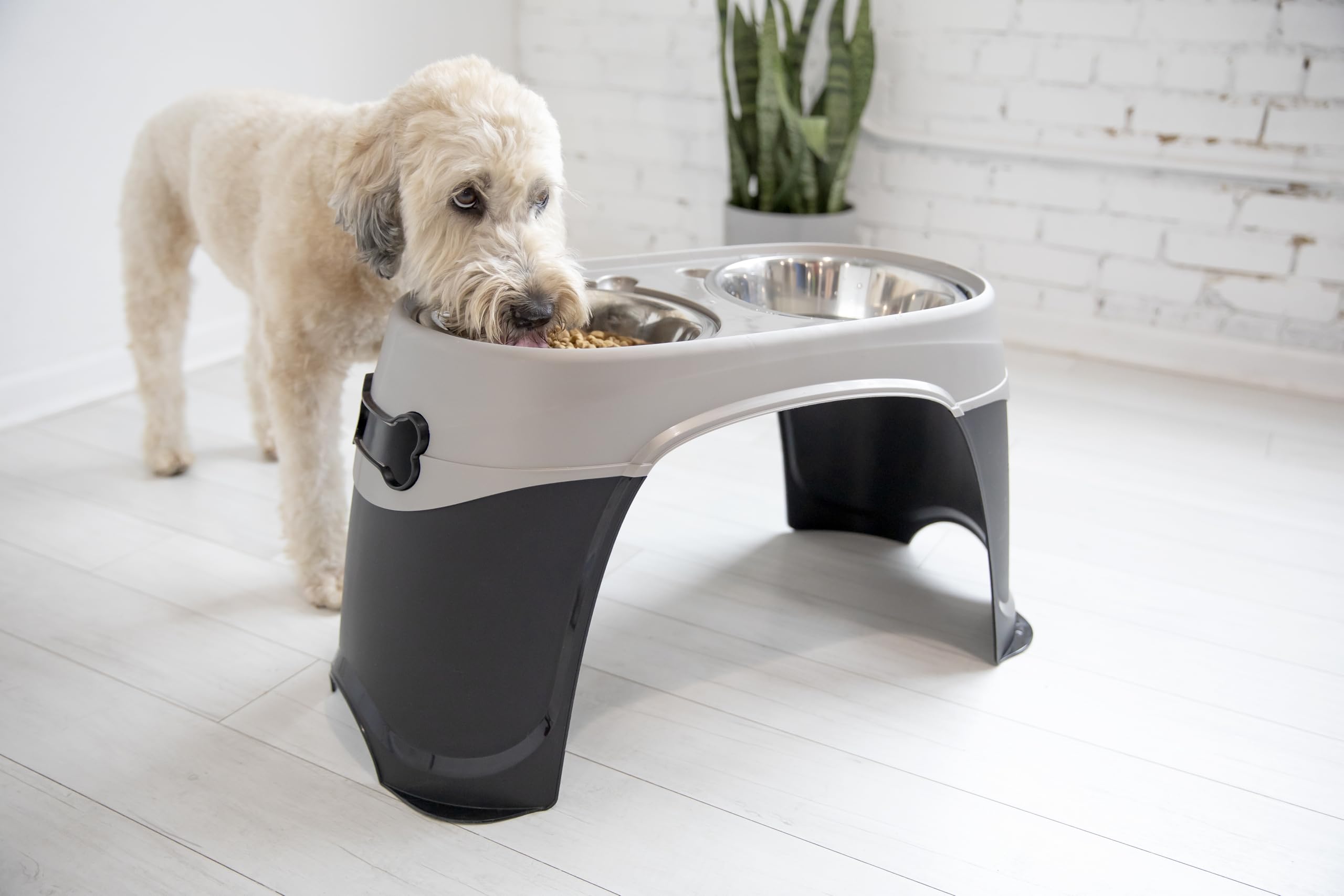 Petmate Easy Reach: tazón inoxidable extraíble facilita limpieza.