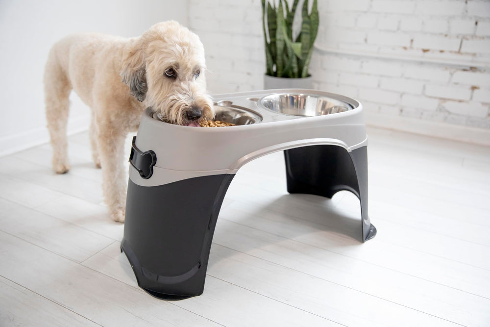 Petmate Easy Reach: tazón inoxidable extraíble facilita limpieza.