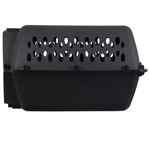 Petmate Pet Porter jaula para perro, mango plegable para transporte cómodo