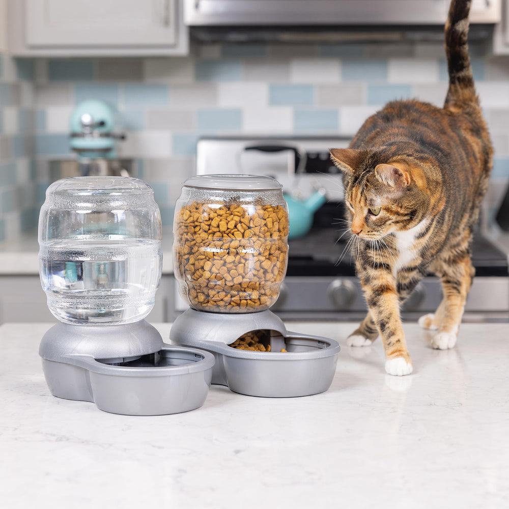 Petmate Replendish bebeder automático para mascotas, acceso cómodo a agua fresca