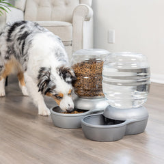 Petmate Replendish: botella desmontable para rellenar y limpiar fácilmente.