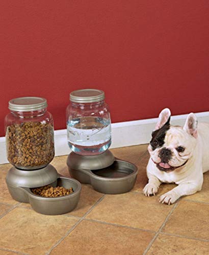Petmate Replenish Mason, filtración con carbón activado; agua más limpia para la mascota
