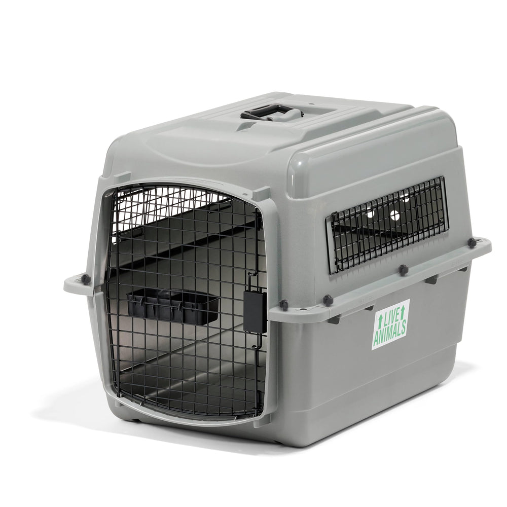 Interior espacioso del Petmate Sky Kennel para perros medianos.