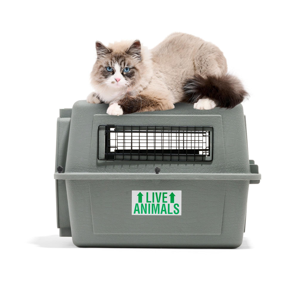 Petmate Sky Kennel hecho en EE. UU., con calidad probada.