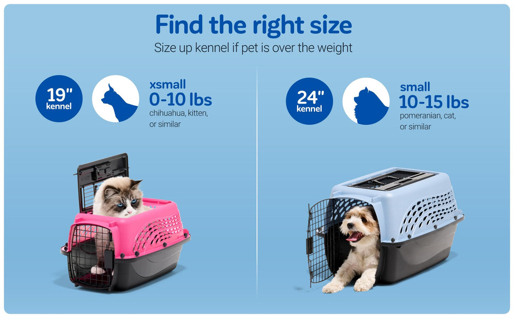 Espacio para mascotas de 0 a 15 libras en Petmate.