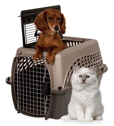 Petmate con puerta superior para facilitar la carga.