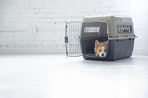 Petmate Ultra Vari adecuada para perros de 25 a 30 libras